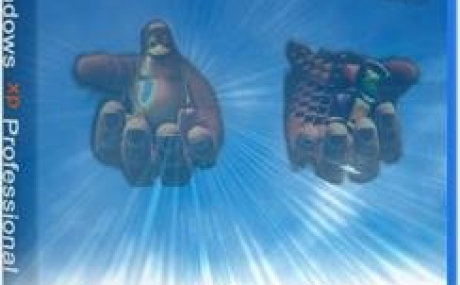 Windows XP Professional 32 bit SP3 VL RU 2017