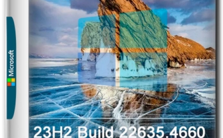 Windows 11 Pro Русская by OneSmiLe 23H2 build 22635.4660