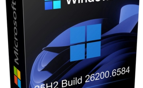 Windows 11 Pro 25H2 Build 26200.6584 Lite Version