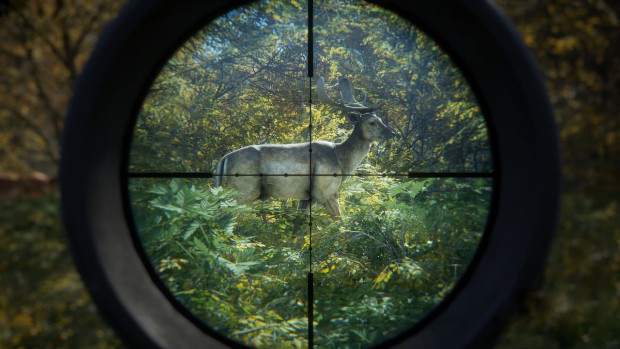 Screenshot #3 - theHunter: Call of the Wild