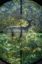 Screenshot #3 - theHunter: Call of the Wild