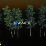 Screenshot #3 - Nature Package - Forest Environment
