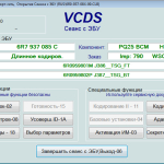 Screenshot #2 - VCDS 22.3.1 Rus [2022] Full (VAG-COM)