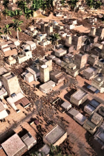 Screenshot #5 - Ultimate Epic Battle Simulator 2