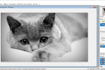 Screenshot #1 - PixBuilder Studio 2.2