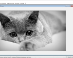 Screenshot #1 - PixBuilder Studio 2.2