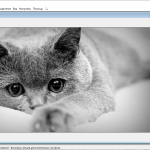Screenshot #1 - PixBuilder Studio 2.2