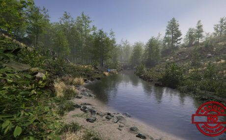 Forest Environment - Dynamic Nature