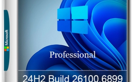Windows 11 Pro 24H2 Build 26100.6899 Full Октябрь 2025