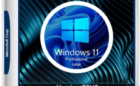 Windows 11 Pro 23H2 [22631.2861 x64] Русская