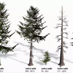 Screenshot #2 - Mountain Forest Pack