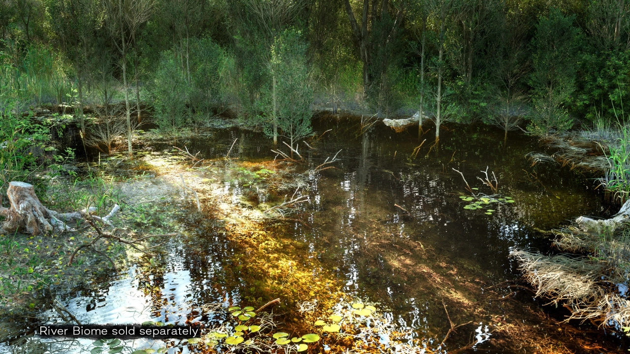 Screenshot #2 - PCG Biome: Forest Poplar (Interactive Foliage, Trees, Wind System, Nature)