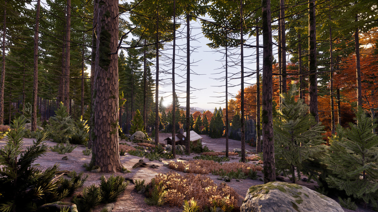 Screenshot #8 - Prologue: Go Wayback!