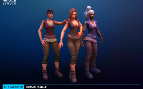 Modular Fantasy Stylized Human Female
