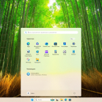 Screenshot #1 - Windows 11 Pro 24H2 Build 26100.4066 Update 2025-05-28