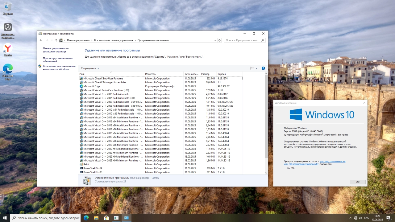 Screenshot #4 - Windows 10 Professional 22H2 Build 19045.5965 Tweak