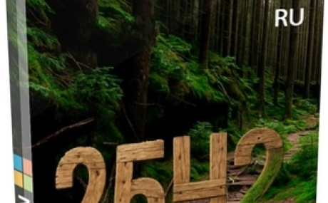 Windows 11 Pro 25H2 Full без телеметрии 26200.6899 by Revision