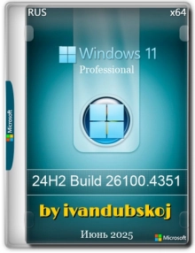 Windows 11 Pro 24Н2 Build 26100.4351 by ivandubskoj