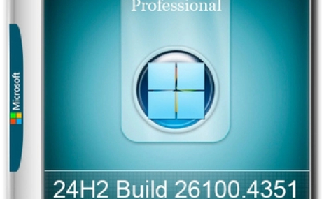 Windows 11 Pro 24Н2 Build 26100.4351 by ivandubskoj