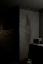 Screenshot #1 - Paranormal Torment