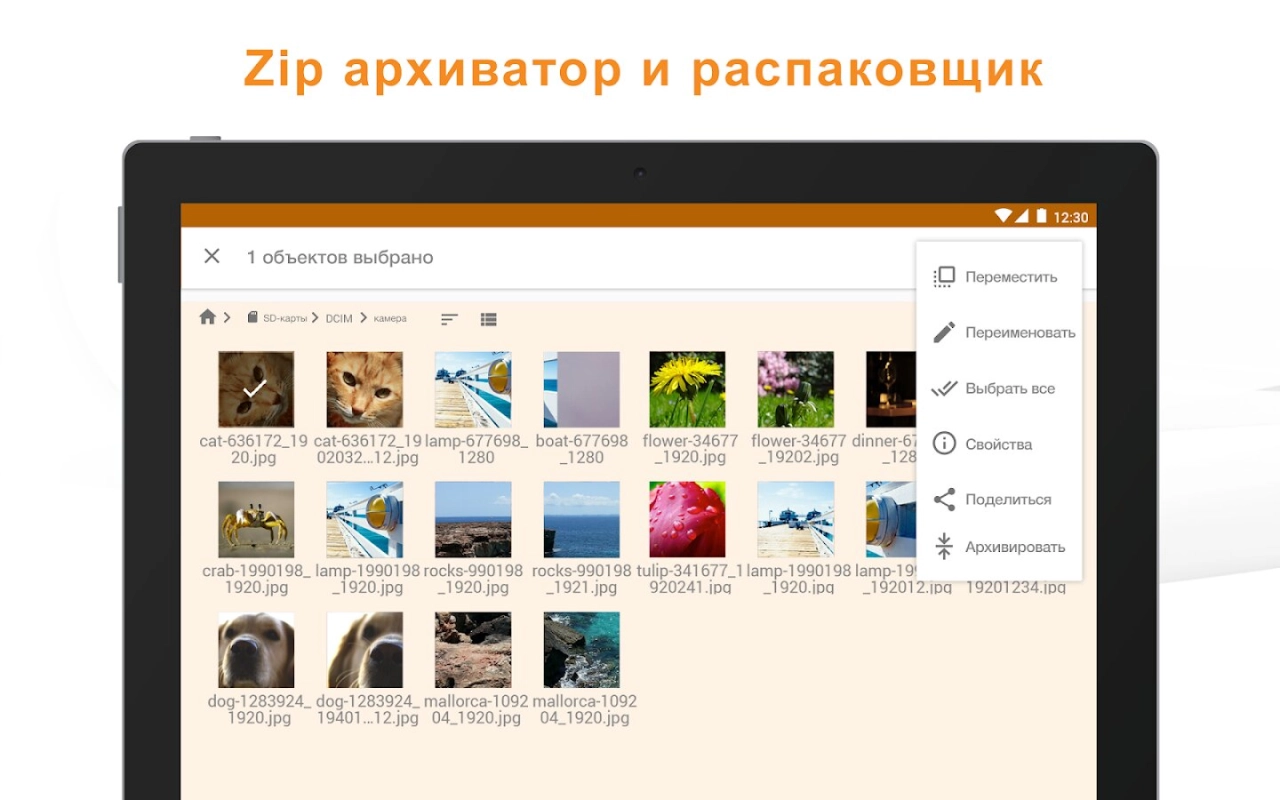 Screenshot #6 - ASTRO FILE MANAGER 8.15.3