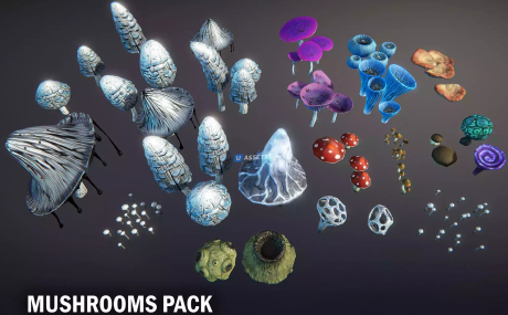 Mushrooms pack