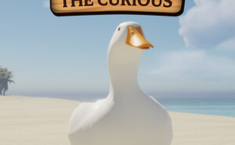 Ducky: The Curious
