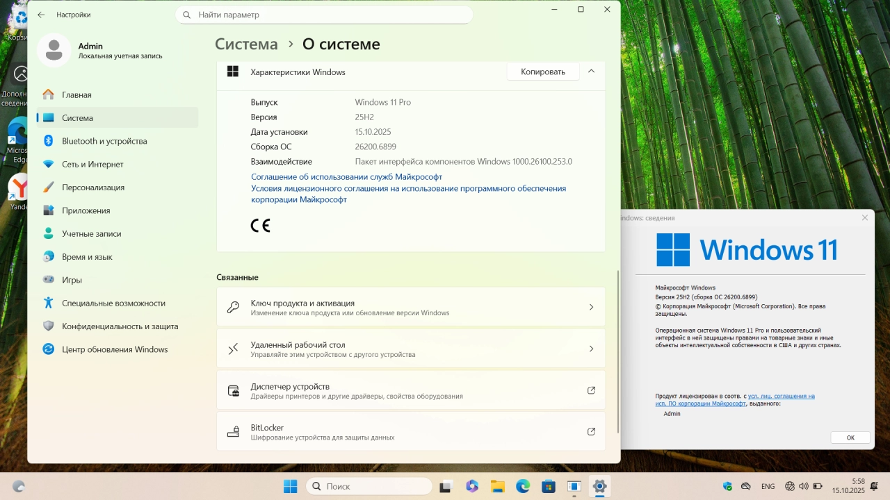 Screenshot #2 - Windows 11 Pro 25H2 Build 26200.6899 Full Октябрь 2025