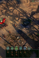 Screenshot #5 - Empires of the Undergrowth