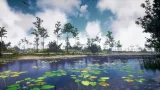 Screenshot #2 - Southeastern US Plants and Ecosystems