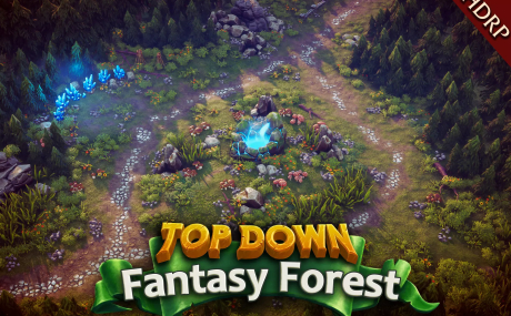 Top Down - Fantasy Forest (HDRP)