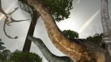 Screenshot #8 - DINOS ONLINE 9.3.0