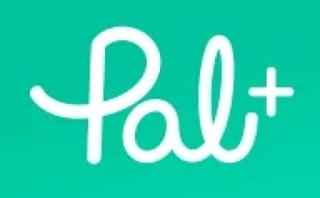 PAL+ 1.1.1084