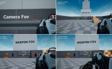 Weapon FOV