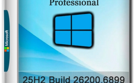 Windows 11 Pro 25H2 Build 26200.6899 Optima