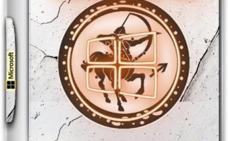 Windows 10 1903 18362.207 Sergei Strelec x86/x64