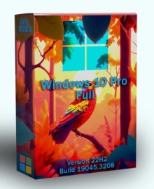 Windows 10 Pro 22H2 Build 19045.3208 July 2023