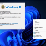 Screenshot #3 - Windows 11 26100.1150_22261_22361.4037.Mod by SURASOFT (Август 2024)