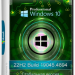 Windows 10 Pro Русская 22H2 19045.4894 Stable
