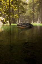 Screenshot #4 - Morels: The Hunt