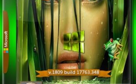 Windows_10_x32 х64_ RS5 v.1809 With Update (17763.348)_IZUAL_03.03.19 (esd)