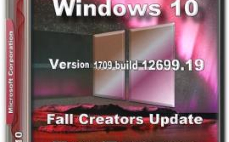 Windows 10 Enterprise v.1709 build 12699.19 by Dr.Verstak (x64)