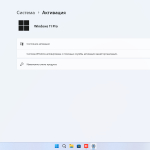 Screenshot #5 - Windows 11 Pro 24Н2 Build 26100.4061 by ivandubskoj