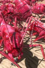 Screenshot #8 - EARTH DEFENSE FORCE 4.1 The Shadow of New Despair