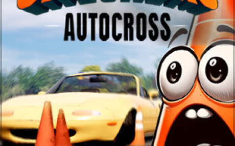 Cone Crushers: Autocross