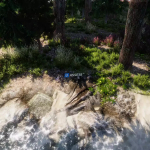 Screenshot #1 - Advanced Foliage Pack 2.0