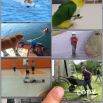 Screenshot #2 - EMOEUPHORIA - FUNNY GIFS 2.0.3