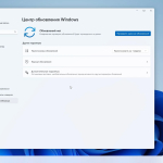 Screenshot #5 - Windows 11 Pro Optima 22H2 22621.819 by WebUser