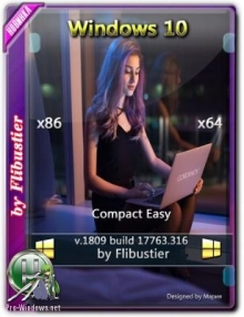 Windows 10 1809 Compact 4in2 [17763.316] (x86-x64) (2019)