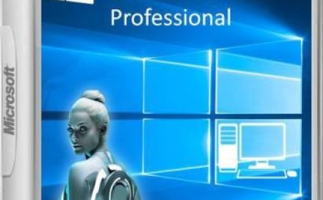 Windows® 10 Professional VL x86-x64 1903 19H1 RU by OVGorskiy® 05.2019 2DVD V2